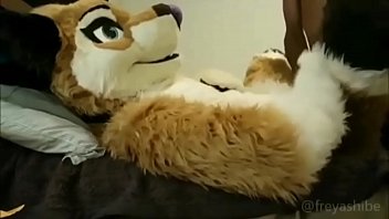 best of Freyashibe fucking flakko fursuit with